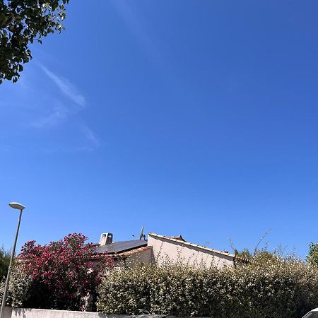 Villa Des Romieux Pinet  Eksteriør billede
